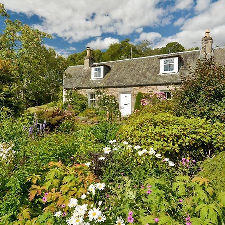 Wintergreen Pitlochry Luaran gambar