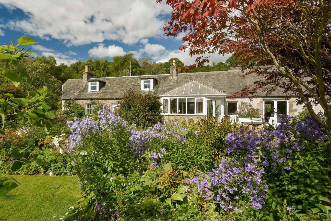 Wintergreen Pitlochry Luaran gambar
