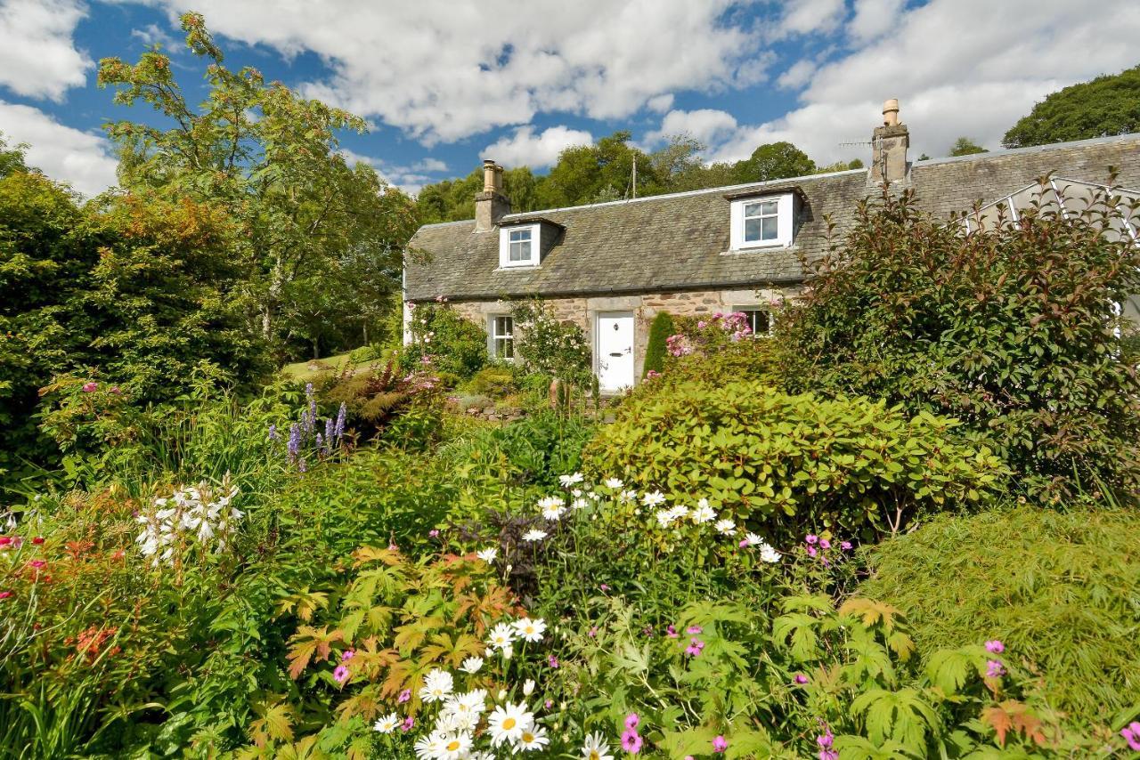 Wintergreen Pitlochry Luaran gambar