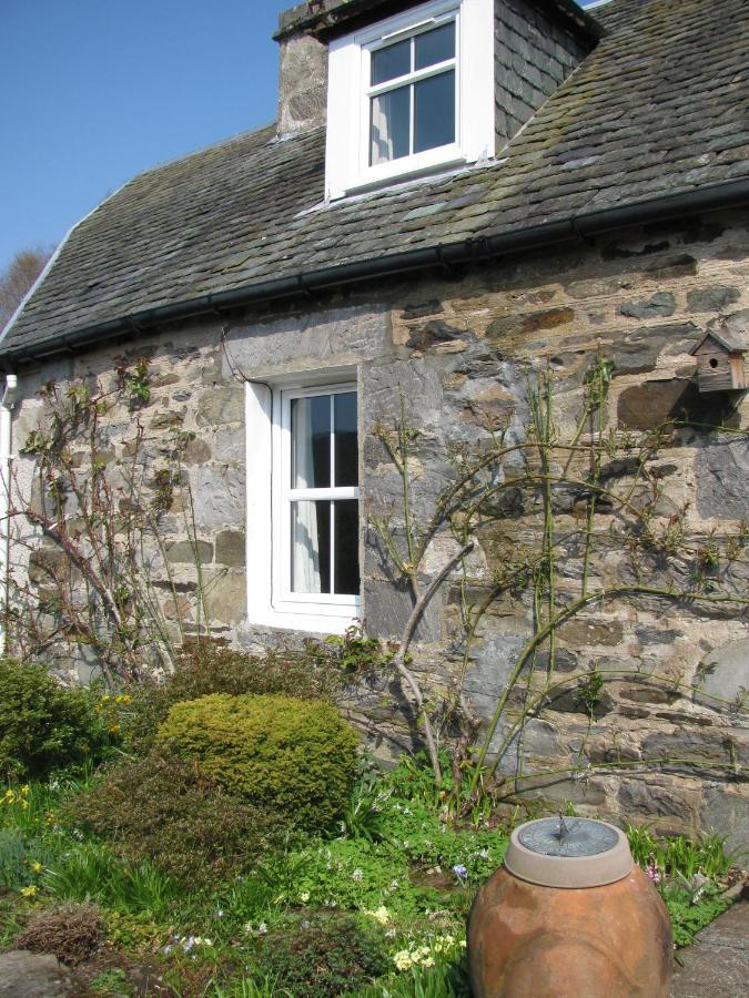 Wintergreen Pitlochry Luaran gambar