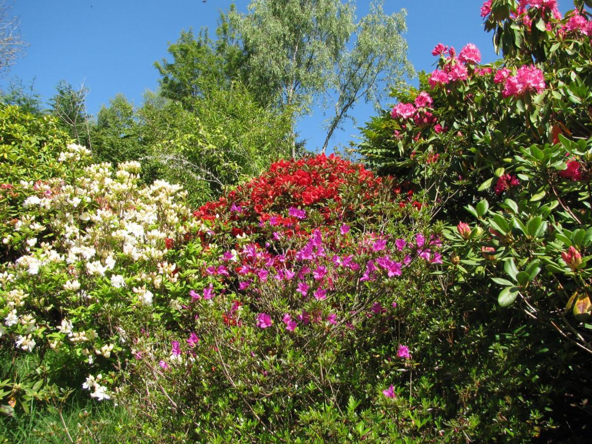 Wintergreen Pitlochry Luaran gambar
