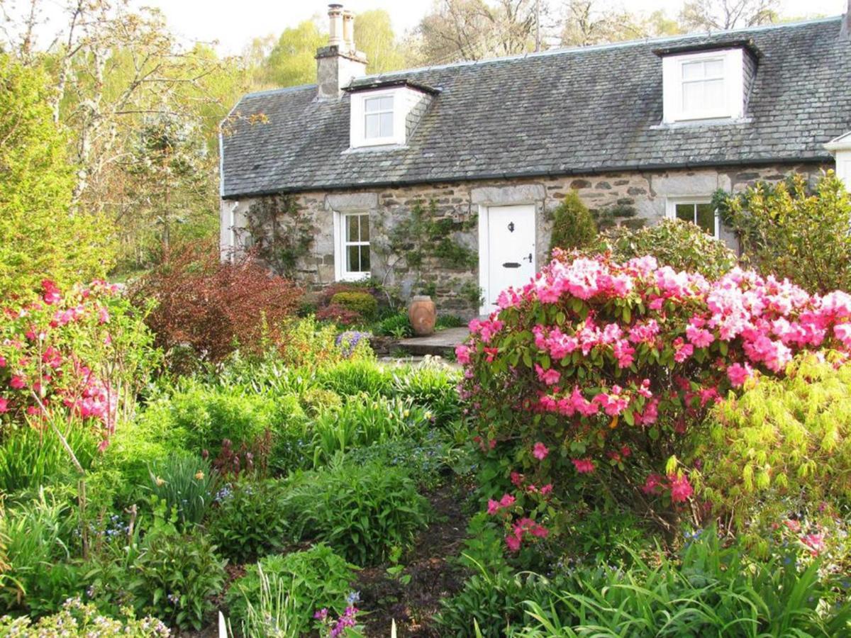 Wintergreen Pitlochry Luaran gambar